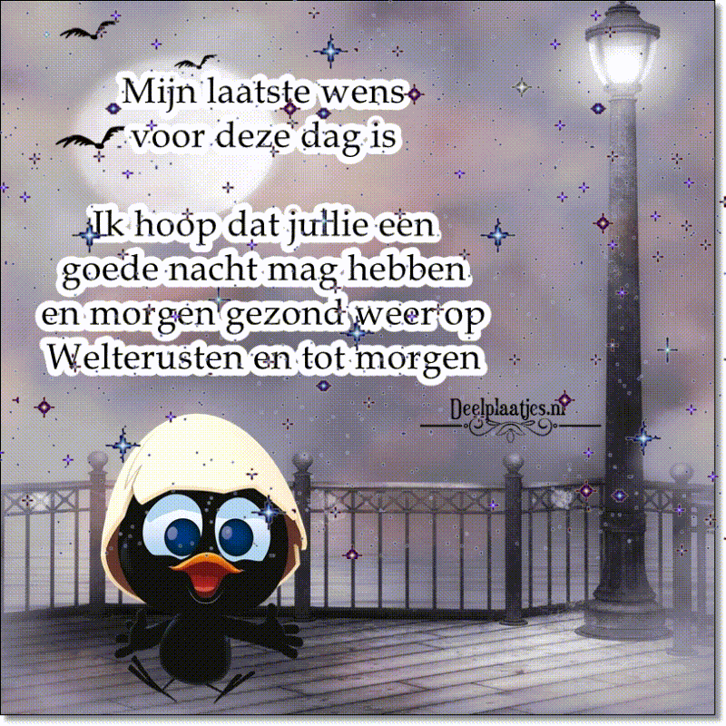 Mijn wens voor vandaag een goede nacht en tot morgen