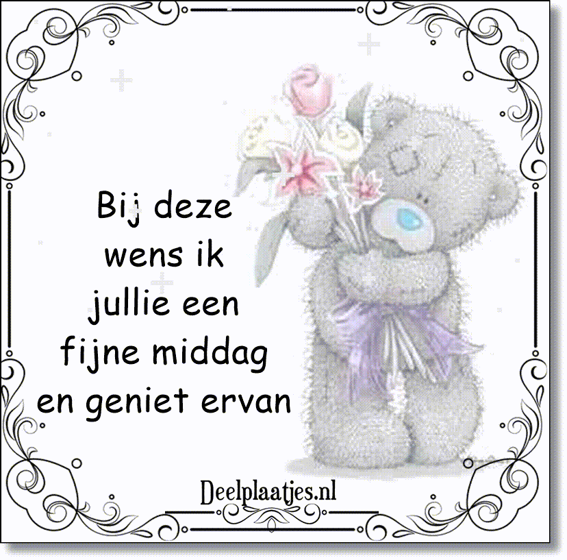 Bij deze wens ik jullie een fijne middag