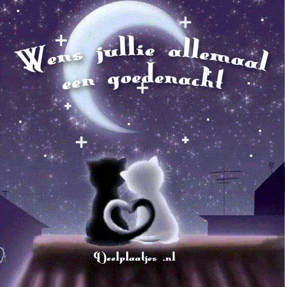 Een goede nacht wens jullie allemaal zoete dromen