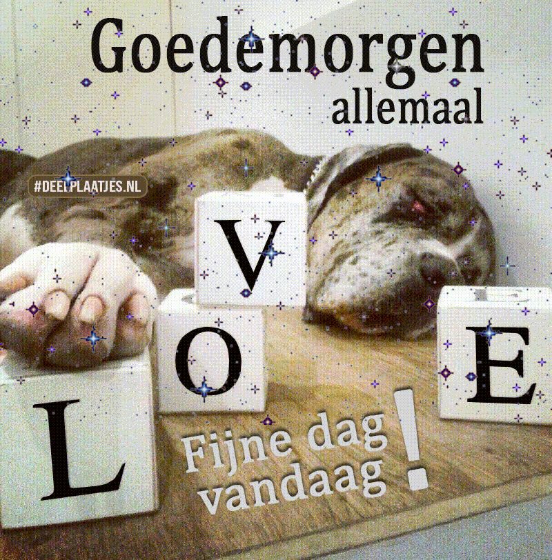 Goedemorgen maak er een fijne dag van