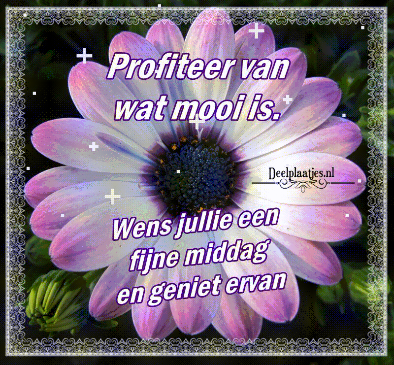 Fijne middag gewenst en geniet ervan samen