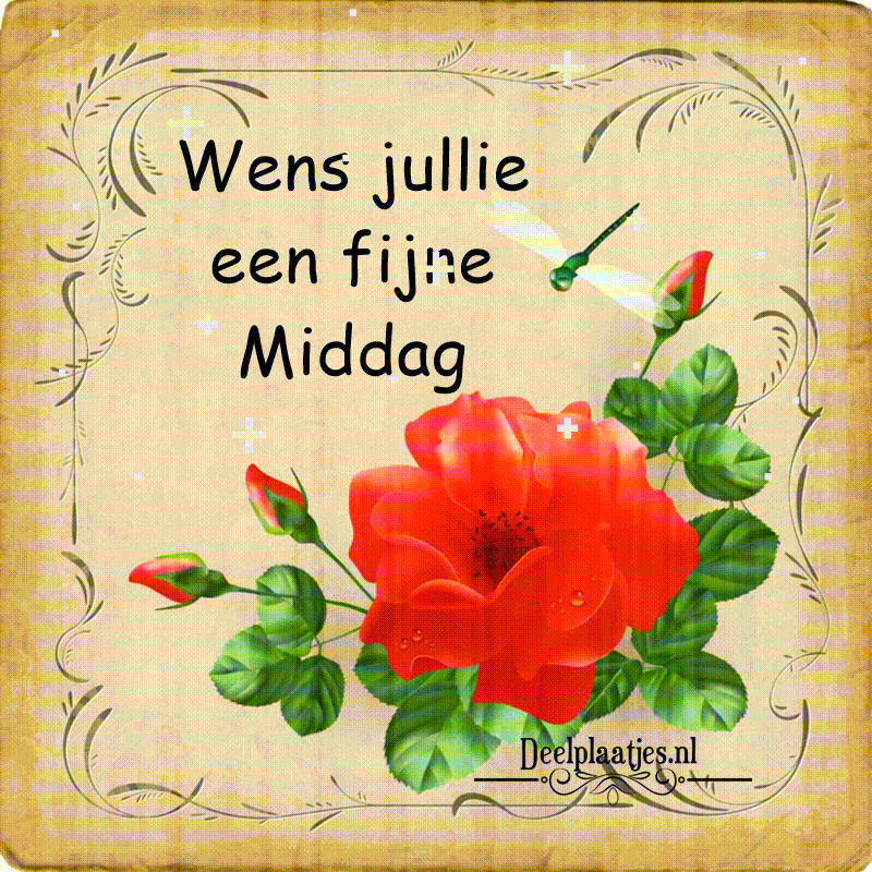 Enjoy a radiant afternoon full of positive energy