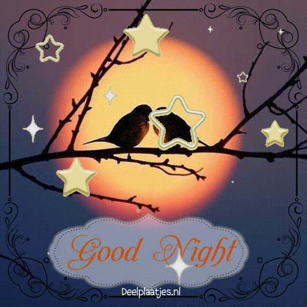 https://www.deelplaatjes.nl/upload_gif/deelplaatjes-nl-good-night.478408.gif