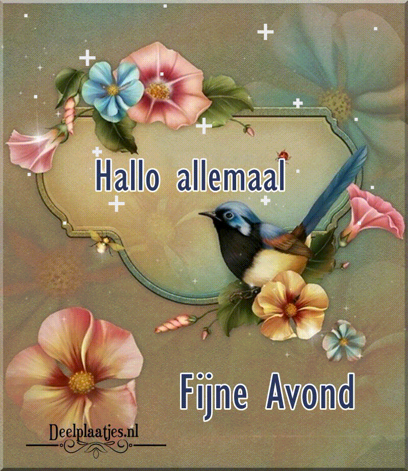 Hallo allemaal fijne avond groet