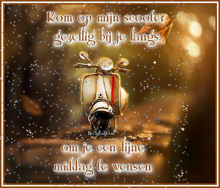 I ride my scooter to wish you a lovely afternoon