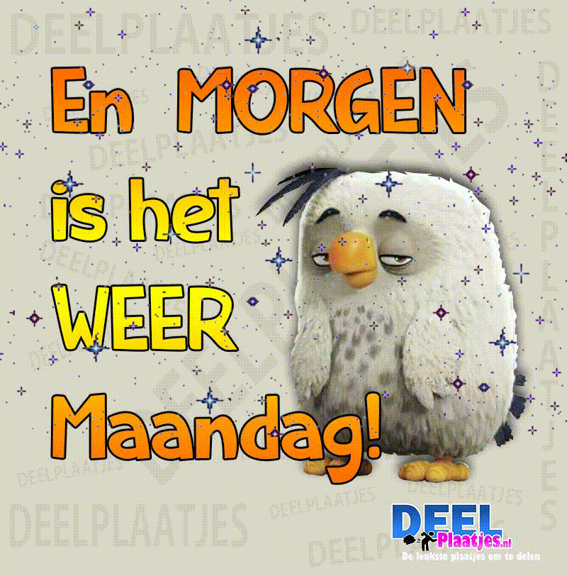 Bereid je voor op een noodsituatie - Oozo.nl Bereid je voor op een noodsituatie - Oozo.nl