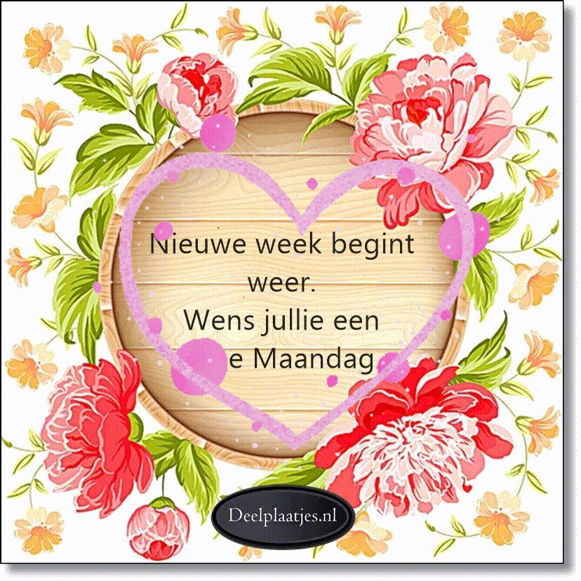 deelplaatjes-nl-nieuwe-week-begint-weer.479753.jpg.gif