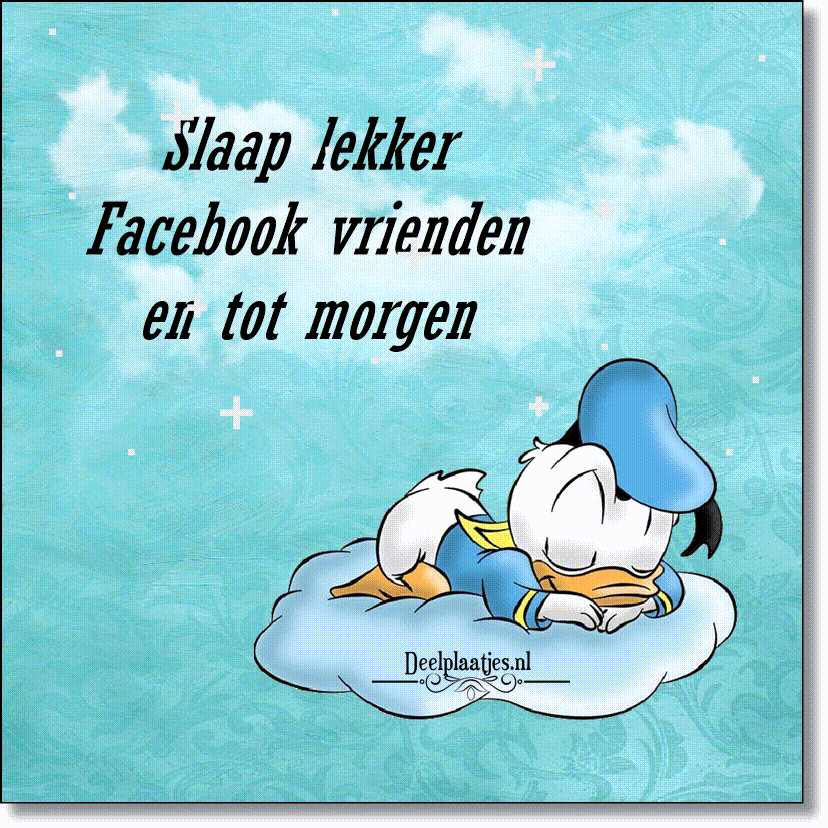deelplaatjes-nl-slaap-lekker-facebook-vrienden.483406.jpg.gif
