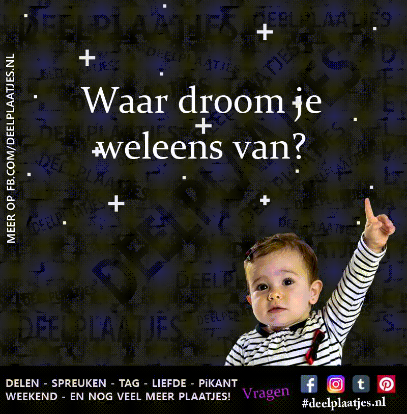 Vragen plaatjes 8
